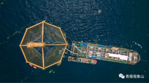 青島龍頭引領再升級 山東重磅規劃賦能，景區管理迎發展新機
